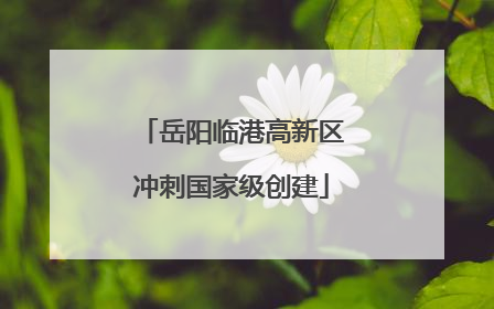 岳阳临港高新区冲刺国家级创建
