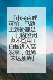市民直呼可怕：马路上到处都是，门窗紧闭也不管用！白蚁进入高发季，但尚未达顶峰