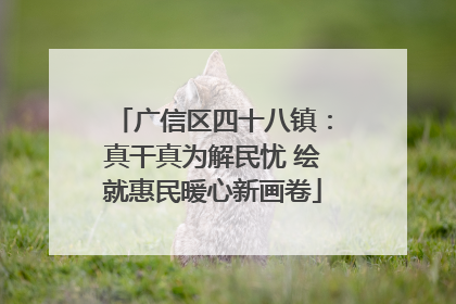 广信区四十八镇：真干真为解民忧 绘就惠民暖心新画卷