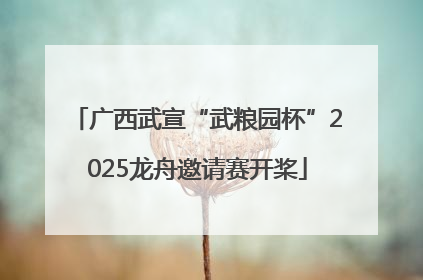 广西武宣“武粮园杯”2025龙舟邀请赛开桨