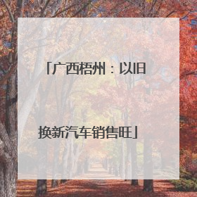 广西梧州：以旧换新汽车销售旺