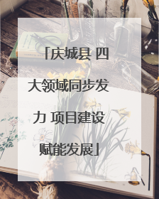 庆城县 四大领域同步发力 项目建设赋能发展