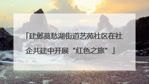 建邺莫愁湖街道艺苑社区在社企共建中开展“红色之旅”