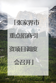 张家界市重点招商引资项目调度会召开