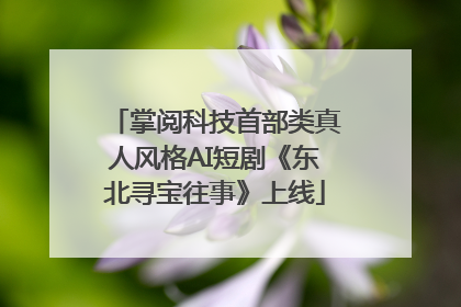 掌阅科技首部类真人风格AI短剧《东北寻宝往事》上线