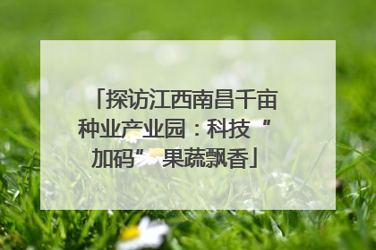 探访江西南昌千亩种业产业园：科技“加码” 果蔬飘香