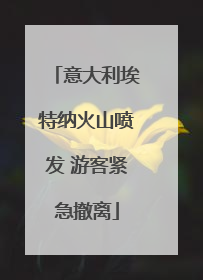意大利埃特纳火山喷发 游客紧急撤离