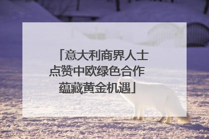 意大利商界人士点赞中欧绿色合作蕴藏黄金机遇
