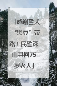 感谢警犬“黑豆”带路！民警深山寻回75岁老人