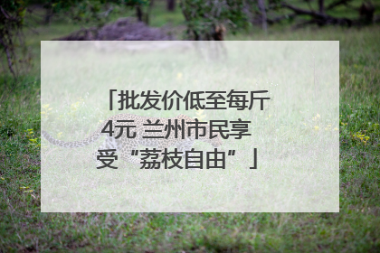批发价低至每斤4元 兰州市民享受“荔枝自由”