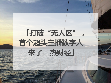 打破“无人区”，首个超头主播数字人来了｜热财经
