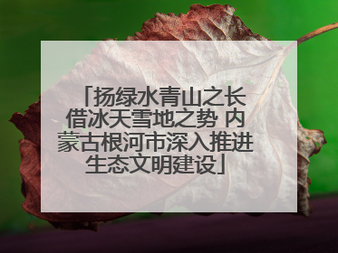 扬绿水青山之长 借冰天雪地之势 内蒙古根河市深入推进生态文明建设