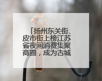 扬州东关街、皮市街上榜江苏省夜间消费集聚商圈，成为古城老街打造“夜经济”的样本