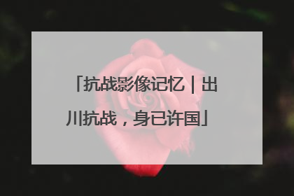 抗战影像记忆｜出川抗战，身已许国