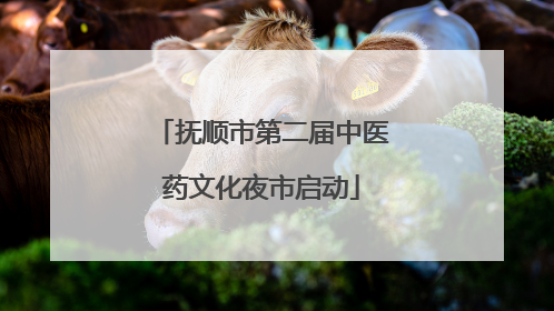 抚顺市第二届中医药文化夜市启动