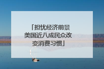担忧经济前景 美国近八成民众改变消费习惯