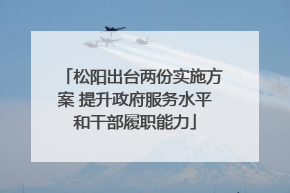 松阳出台两份实施方案 提升政府服务水平和干部履职能力