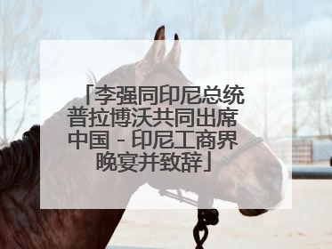 李强同印尼总统普拉博沃共同出席中国－印尼工商界晚宴并致辞