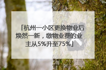 杭州一小区更换物业后焕然一新，缴物业费的业主从5%升至75%