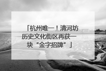 杭州唯一！清河坊历史文化街区再获一块“金字招牌”
