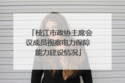枝江市政协主席会议成员视察电力保障能力建设情况