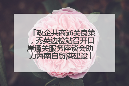 政企共商通关良策，秀英边检站召开口岸通关服务座谈会助力海南自贸港建设