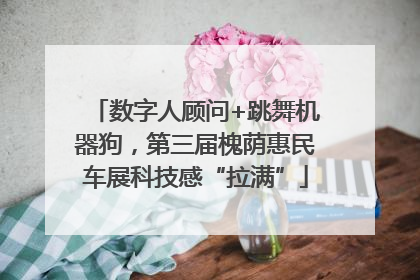 数字人顾问+跳舞机器狗，第三届槐荫惠民车展科技感“拉满”