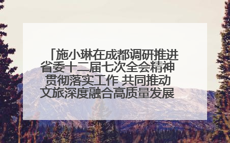 施小琳在成都调研推进省委十二届七次全会精神贯彻落实工作 共同推动文旅深度融合高质量发展 加快打造支柱产业民生产业幸福产业