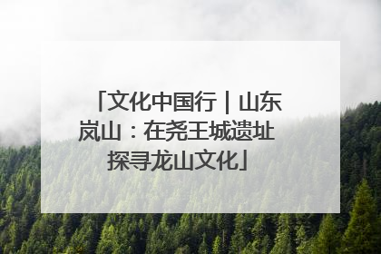 文化中国行｜山东岚山：在尧王城遗址探寻龙山文化