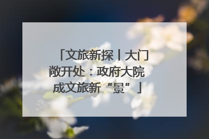 文旅新探丨大门敞开处：政府大院成文旅新“景”