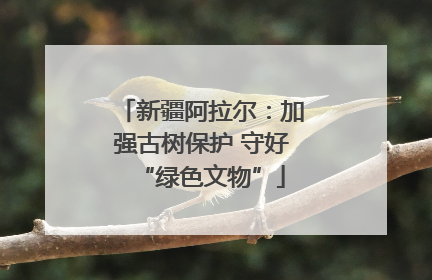 新疆阿拉尔：加强古树保护 守好“绿色文物”