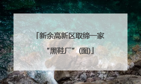新余高新区取缔一家“黑鞋厂”(图)