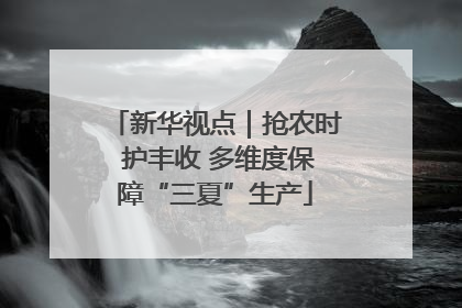 新华视点｜抢农时 护丰收 多维度保障“三夏”生产