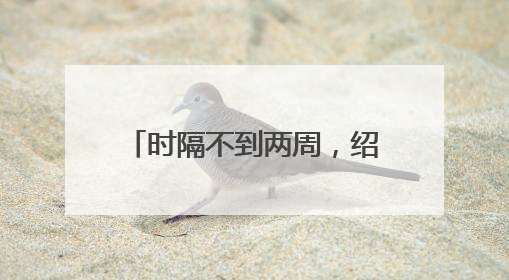 时隔不到两周，绍伊古再见金正恩