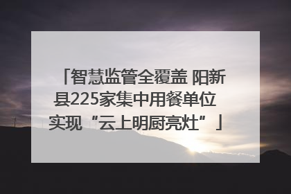 智慧监管全覆盖 阳新县225家集中用餐单位实现“云上明厨亮灶”