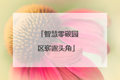 智慧零碳园区崭露头角
