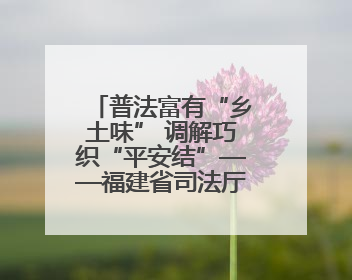 普法富有“乡土味” 调解巧织“平安结”——福建省司法厅推进法治乡村建设出成效
