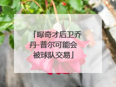 曝奇才后卫乔丹-普尔可能会被球队交易