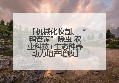 机械化收割、“鸭管家”除虫 农业科技+生态种养助力增产增收