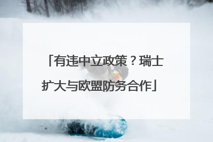 有违中立政策？瑞士扩大与欧盟防务合作