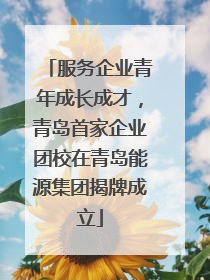 服务企业青年成长成才，青岛首家企业团校在青岛能源集团揭牌成立