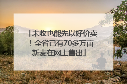 未收也能先以好价卖！全省已有70多万亩新麦在网上售出