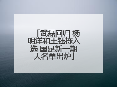 武磊回归 杨明洋和王钰栋入选 国足新一期大名单出炉
