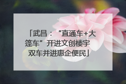武昌：“直通车+大篷车”开进文创楼宇 双车并进惠企便民