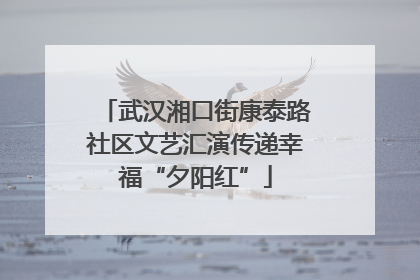 武汉湘口街康泰路社区文艺汇演传递幸福“夕阳红”