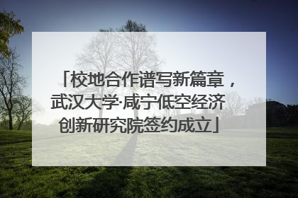 校地合作谱写新篇章，武汉大学·咸宁低空经济创新研究院签约成立