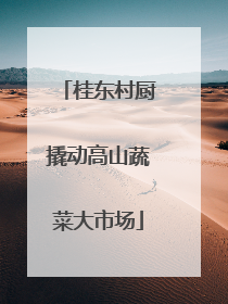 桂东村厨撬动高山蔬菜大市场