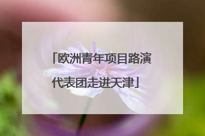 欧洲青年项目路演代表团走进天津
