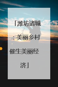 潍坊诸城：美丽乡村催生美丽经济