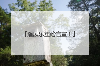 潘展乐重磅官宣！